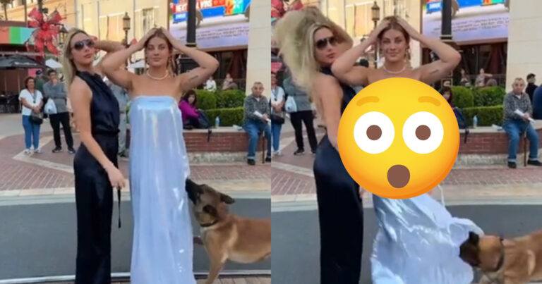 WOOPS: ‘Stoute hond’ aan de haal met jurk van poserende dame (fails)