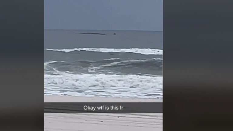 Strandganger spot mysterieus zeewezen: “Het is net het monster van Loch Ness”