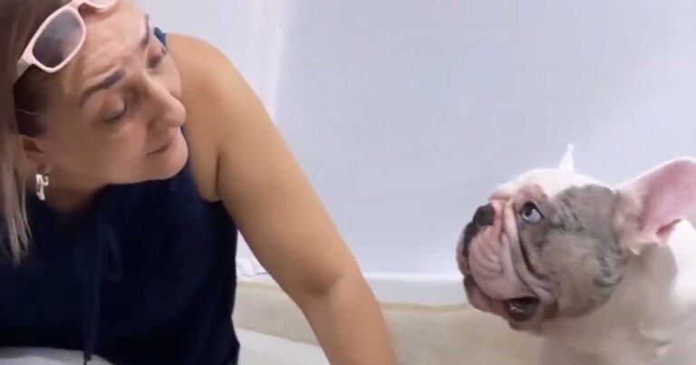 Baasje vraagt hond om haar na te zeggen en het lukt: “Wat een slimme hond!” (video)