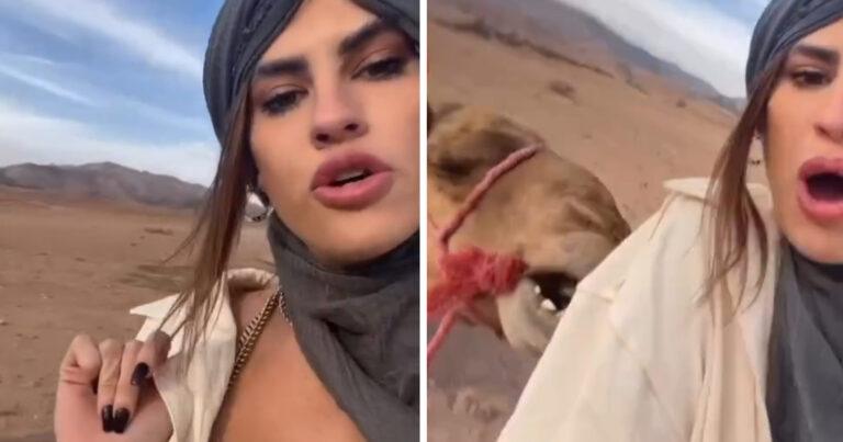 Vrouw maakt kennis met kameel, maar dan gebeurt DIT: “Tja, wat kon er nu misgaan…” (video)
