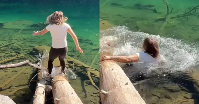 Dame balanceert op omgevallen boom in meer. Niet veel later? KLETSNAT! (fails)