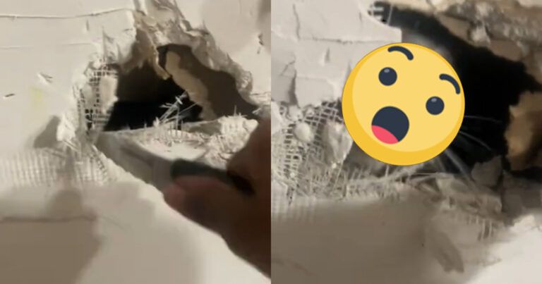 WOW: Vrouw maakt gat in pas herstelde muur. De reden waarom geloof je nooit! (video)