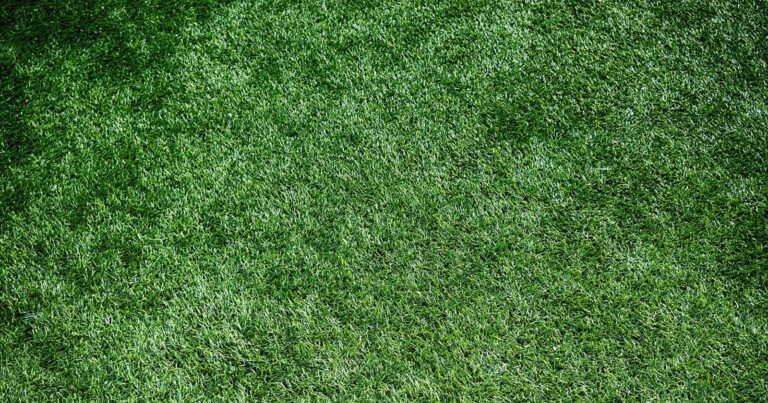 Is recyclebaar kunstgras het geld waard?