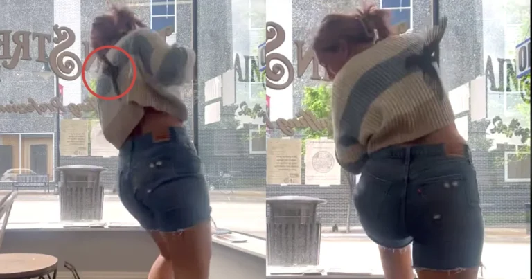 Dame wil ‘verdwaald’ vogeltje weer buiten zetten. Maar dan? HILARISCH! (fails)