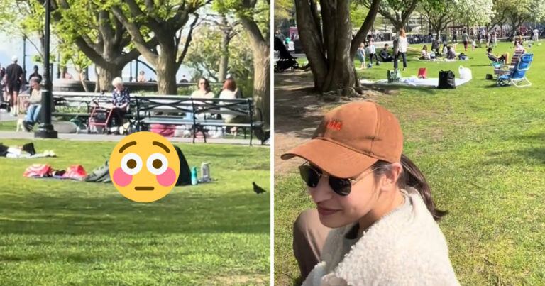 Koppeltje heeft seks in park: “En niemand die de politie belt?!” (video)