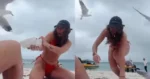 Dame wil rustig wat eten op het strand. Maar de meeuwen hebben ook honger! (fails)