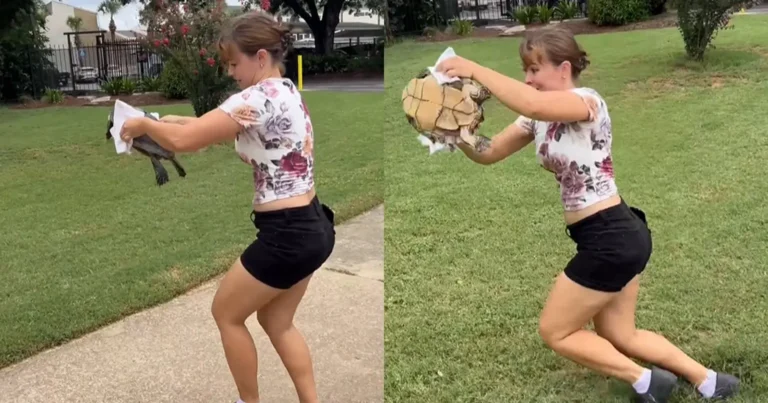 fails