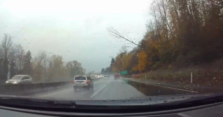Bestuurder rijdt nietsvermoedend op snelweg, tot er plots een boom omvalt… (video)