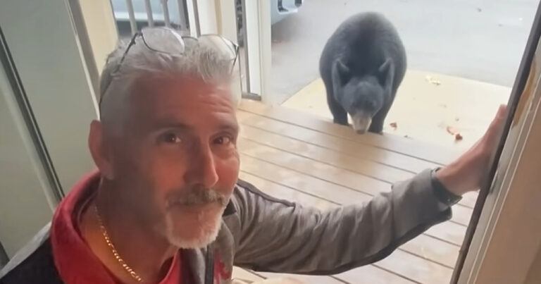 Man wil foto nemen met beer op achtergrond, maar dan: “Oh mijn God!” (video)