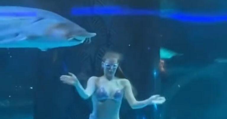 Vrouw in aquarium aangevallen door steur (video)