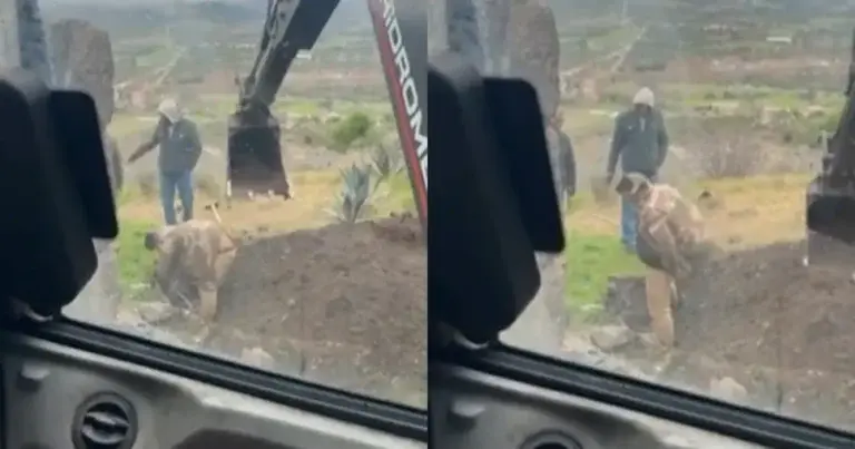 Graafmachinist neemt collega op hilarische wijze beet (video)