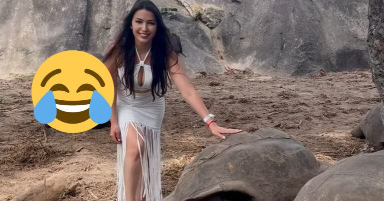Vrouw poseert met schildpad, maar de échte actie speelt zich af op de achtergrond: “De natuur aan het werk!” (video)