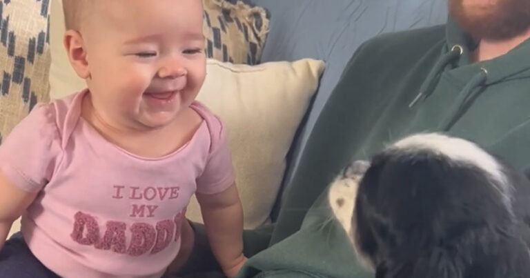 HILARISCH! Hond laat baby schaterlachen: “Zo schattig!” (video)