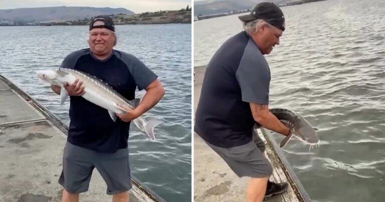 Man vangt vis, maar zijn vangst heeft de laatste lach… (video)