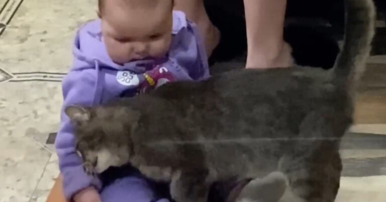 Baby huilt ontroostbaar, tot de kat des huizes ingrijpt: “Zo schattig!” (video)