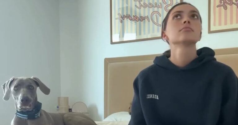 Baasje roept hond, maar doet alsof ze hem niet ziet. Zijn reactie? HILARISCH! (video)