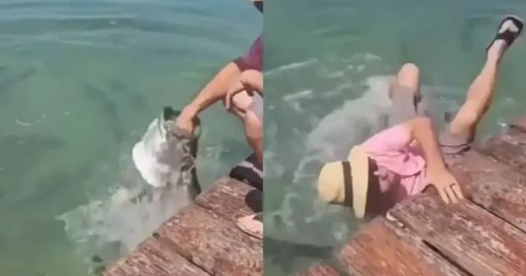 WOOPS: Gigantische vissen voederen eindigt op kletsnatte wijze! (video)