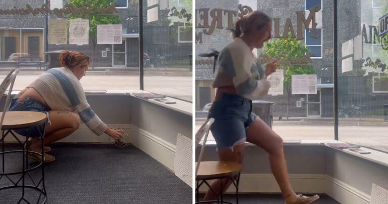 Dame probeert vogel naar buiten te krijgen, maar dan… (video)