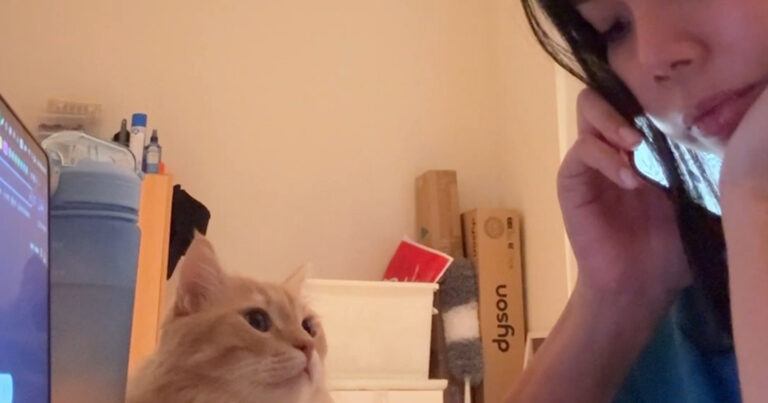 Kat begrijpt telefoongesprek perfect wanneer het over eten gaat (video)