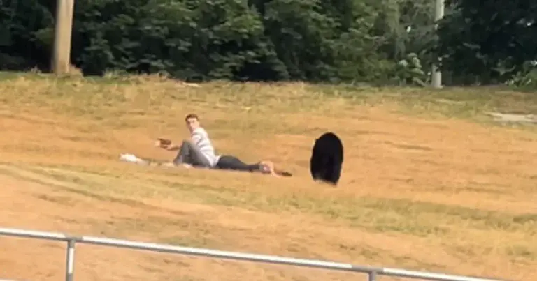 WOW: Parkbezoekers massaal op de vlucht, maar koppel heeft pas erg laat door dat BEER nadert! (video)