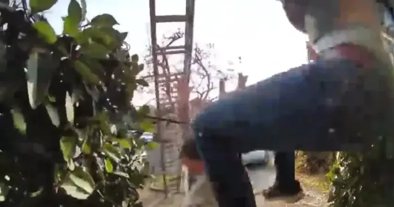 WOOPS: Kerstverlichting ophangen gaat stevig mis! (fails)