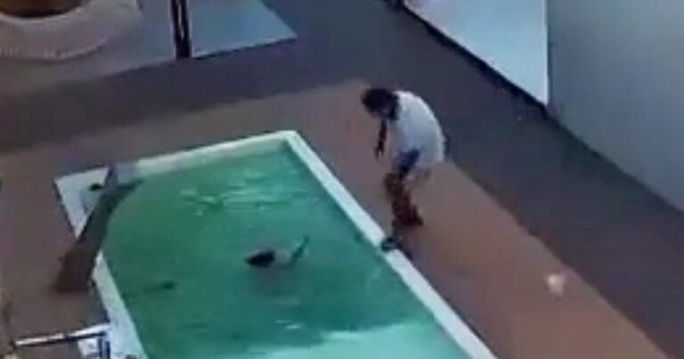 Heldhaftige papa redt zoontjes van verdrinkingsdood (video)