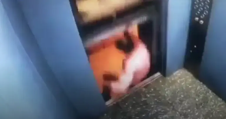 WOW: Man in lift mag van héél veel geluk spreken! (video)