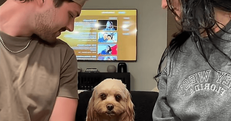 Koppel test wie van de twee hun hondje het liefst ziet (video)
