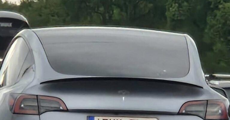Nummerplaat van Tesla zorgt voor commotie: “Wie zijn wij om te oordelen?” (foto)