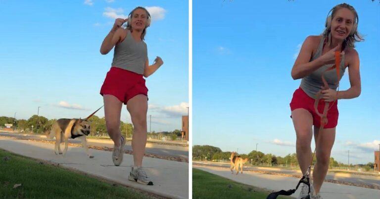 Vrouw filmt trucje, maar hond maakt handig gebruik van het onbewaakte moment (video)