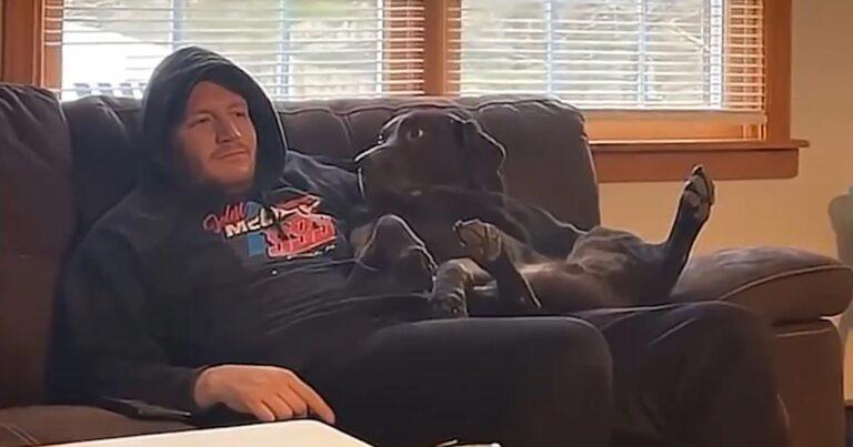 Hond wil aandacht van zijn baasje en doet dat op hilarische wijze! (video)
