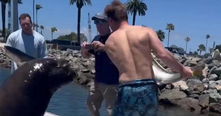 Man poseert trots met enorme vis, maar dan slaat toekijkende zeeleeuw toe (video)