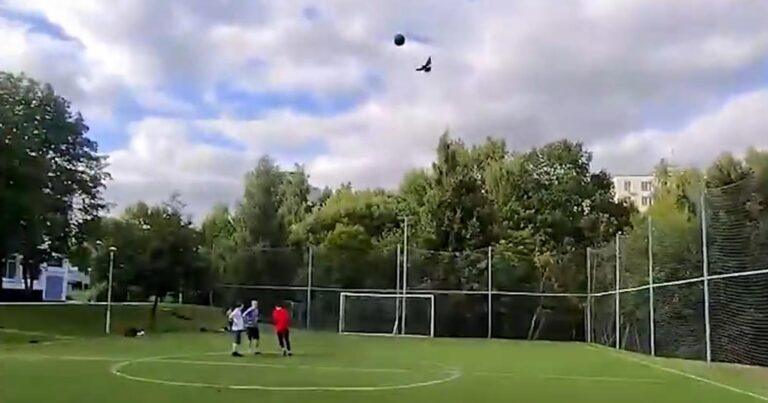 Hoe groot is de kans dat je een vogel raakt tijdens het voetballen? (video)