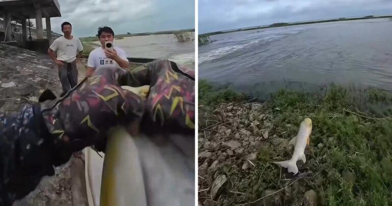 Man wil foto met pas gevangen vis, maar die laatste heeft daar geen zin in (video)